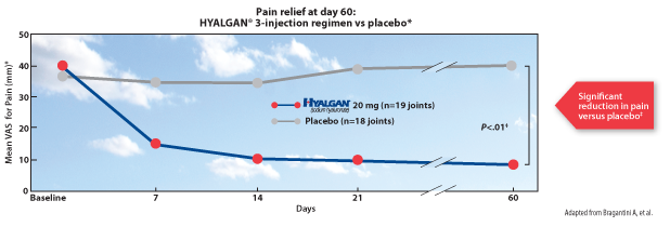 Pain Relief at day 60: Hyalgan 3-injection regimen vs placebo